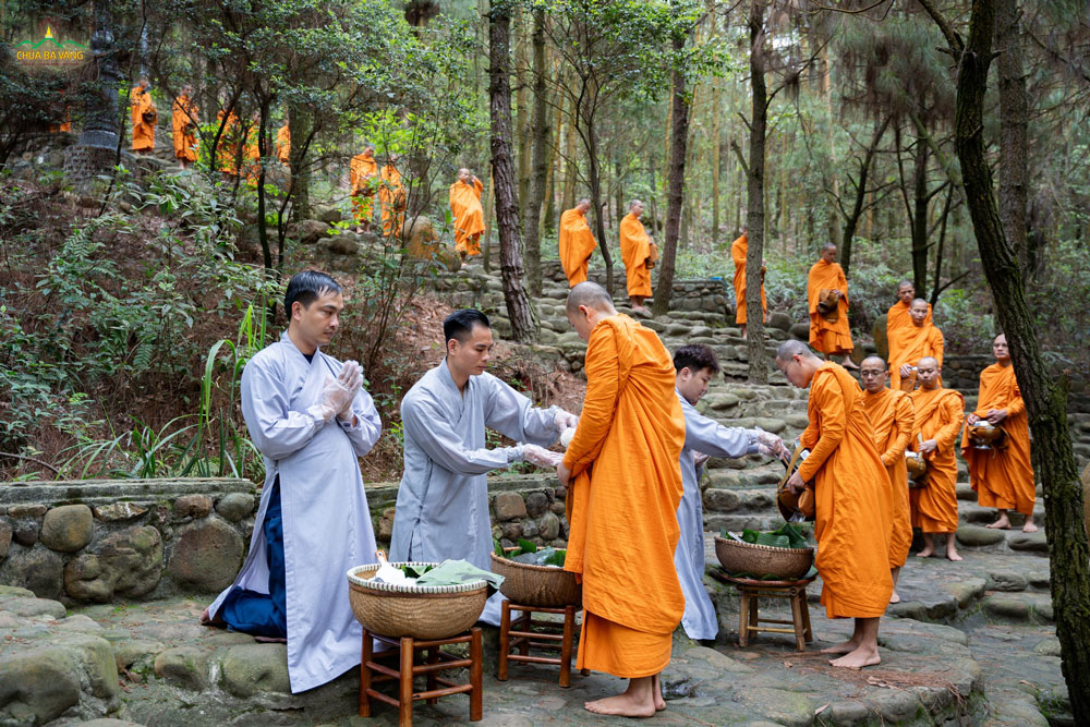 phat-tu-cung-duong-vat-thuc-den-chu-tang-2017