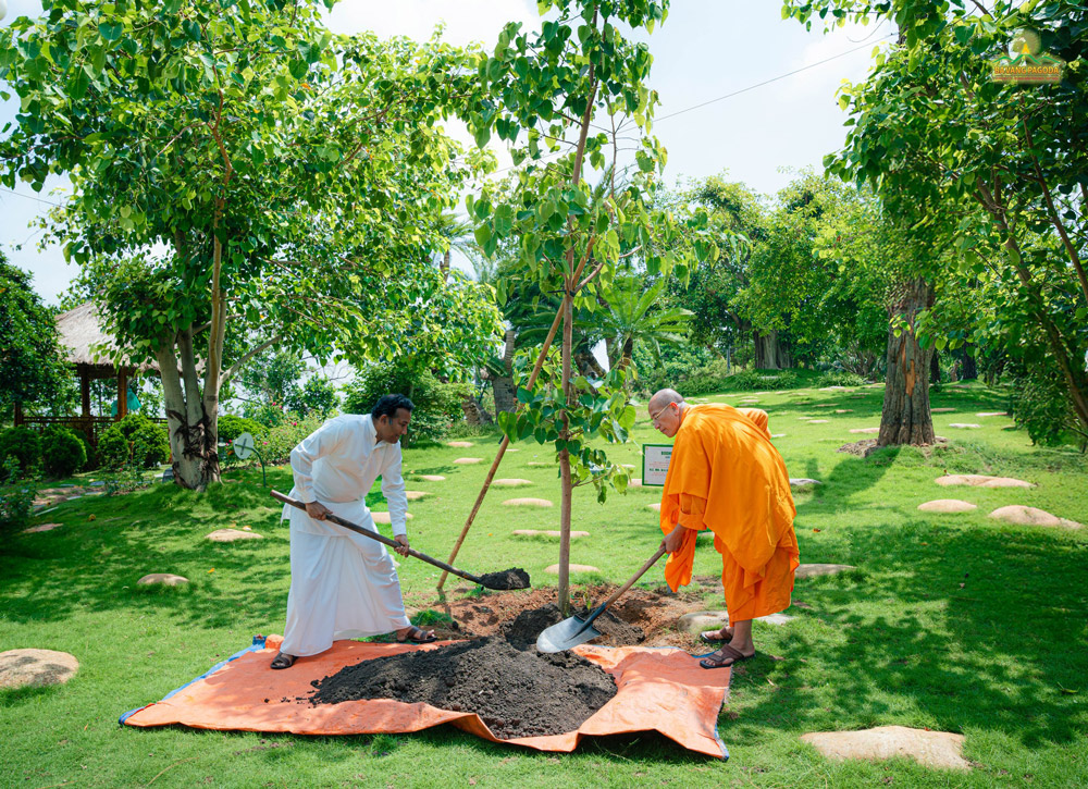 Ambassador Poshitha Perera and Thay Thich Truc Thai Minh planted a commemorative Bodhi tree in the Meditation Garden of Ba Vang Pagoda