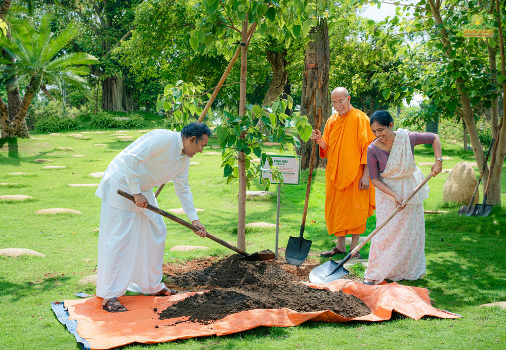 Ambassador Poshitha Perera and Minister Counsellor Kethma Rajapaksha Yapa joyfully planted a commemorative Bodhi tree in the Meditation Garden of Ba Vang Pagoda