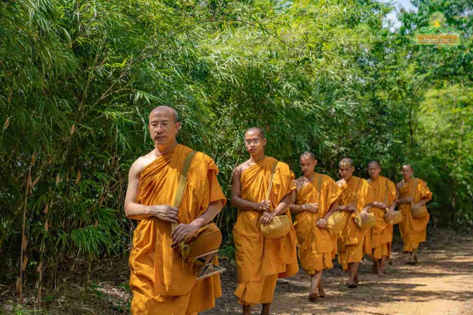 Thay Thich Truc Thai Minh and his disciples going on an alms round in the forest.