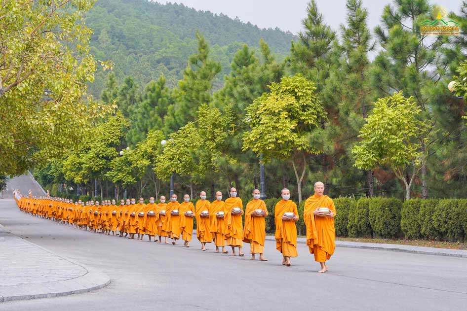Thay Thich Truc Thai Minh leading the sangha of ba vang pagoda went for alms