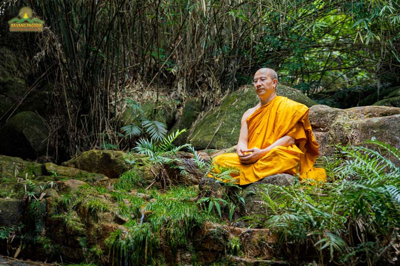 Thay Thich Truc Thai Minh — the abbot of Ba Vang Pagoda meditating in serene forest.