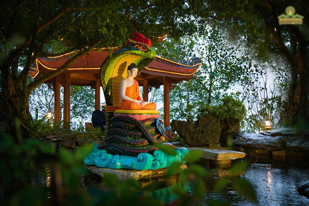 The serpent king Muchalinda sheltered the Buddha from the rain for many days in order to help him meditate.