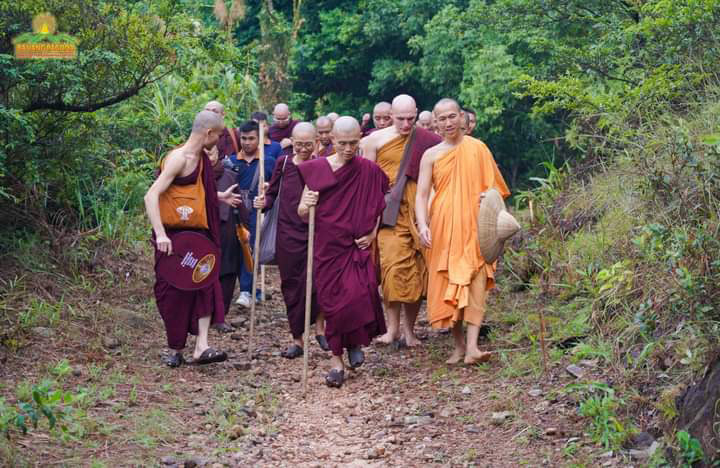 The delegation got into the mediation forest where the monks are practicing.