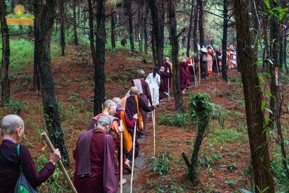 The group's special visit to the meditation forest where monks of Ba Vang Pagoda diligently practice Dhutanga under the guidance of Thay Thich Truc Thai Minh.