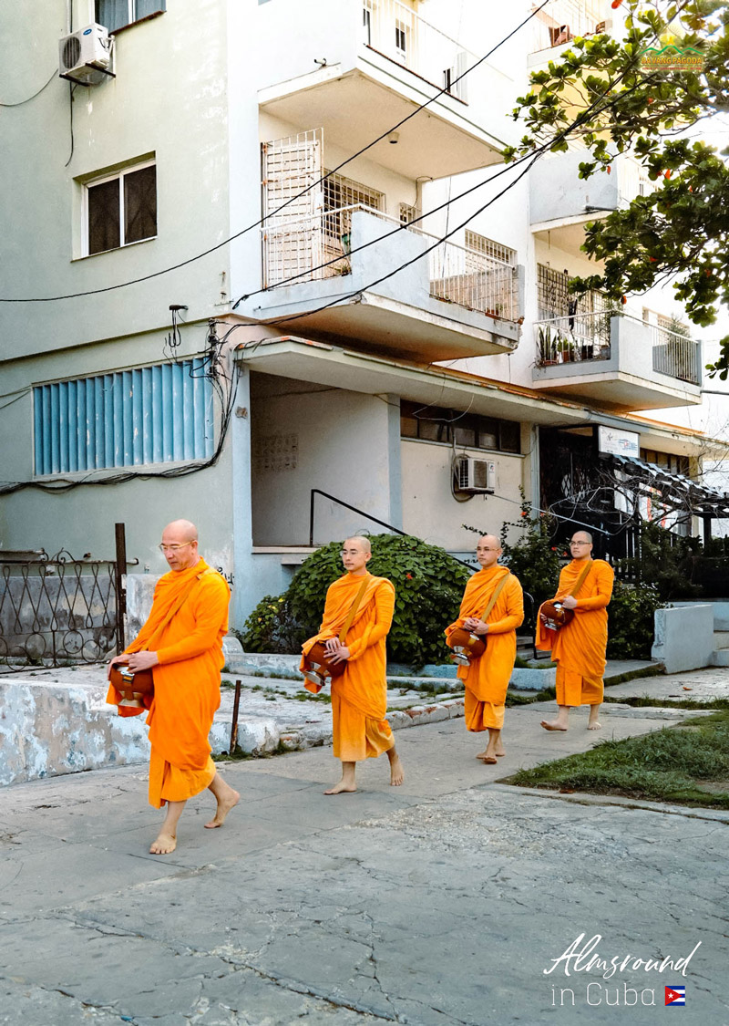 Thay and the monks of Ba Vang Pagoda calmly walked on the street for alms.