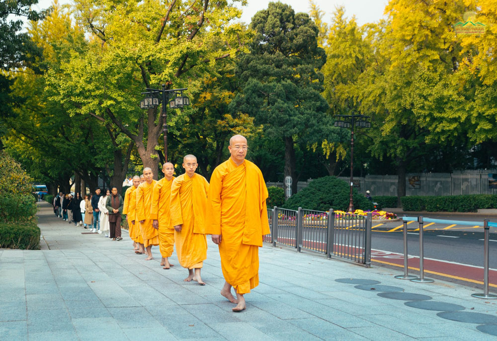 Thay Thich Truc Thai Minh led the monks and lay Buddhists to practice walking meditation.