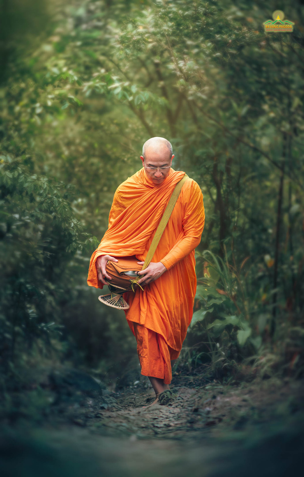 Beyond worldly desires the merits of the Sangha