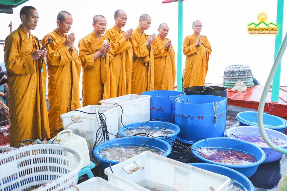 Monks of Ba Vang Pagoda perform rituals before releasing captive saltwater animals into the sea