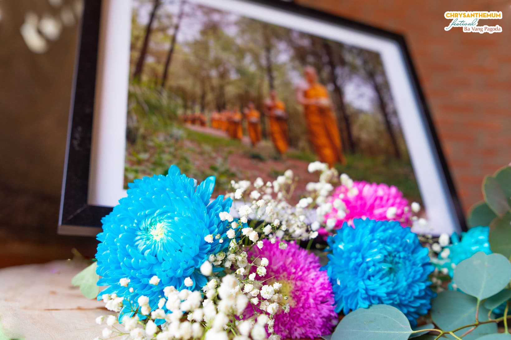Photos are embellished with many kinds of chrysanthemums.