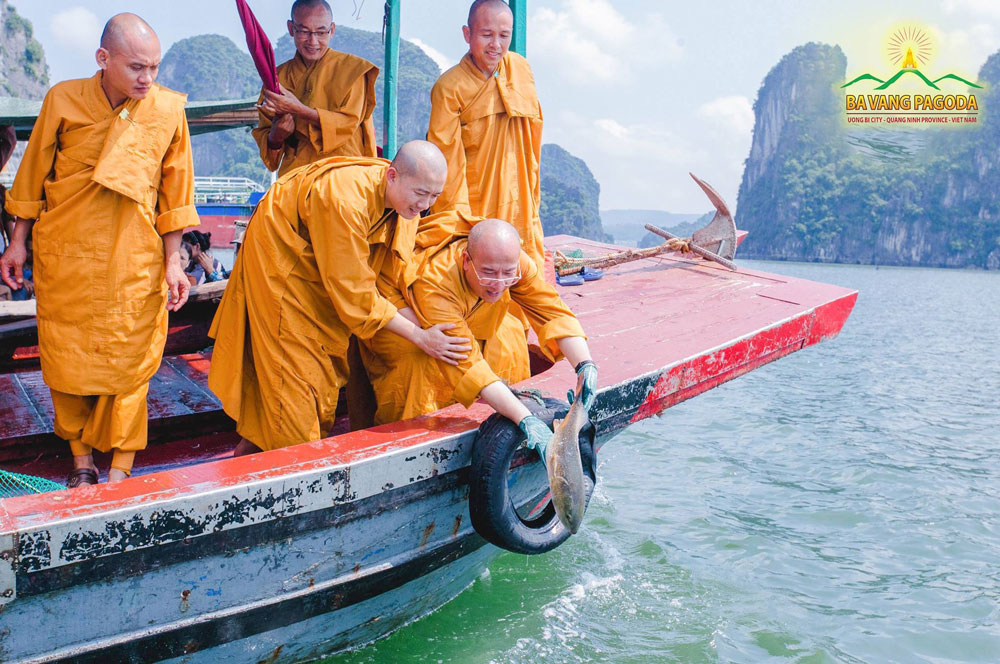 Thay Thich Truc Thai Minh and Monks of Ba Vang Pagoda perform the practice of life release at Ha Long Bay