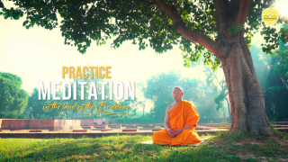 Practice meditation in the land of the Buddha