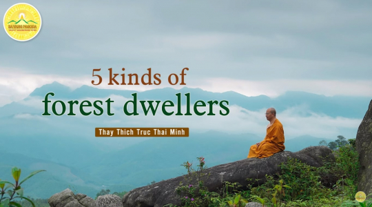 5 Kinds of Forest Dwellers
