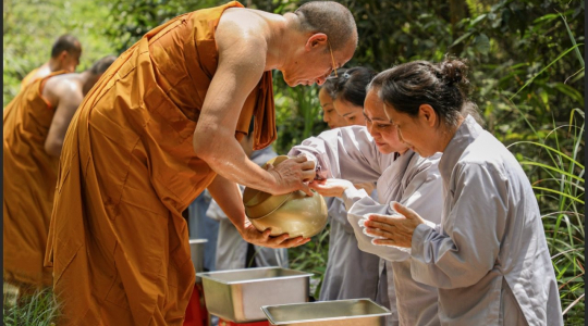 Forest almsgiving to Monks to pray for the country's peace and prosperity
