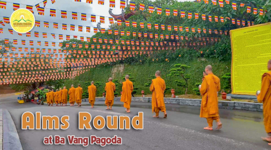 Alms Round: 3 Days Before Buddha's Birthday Celebration