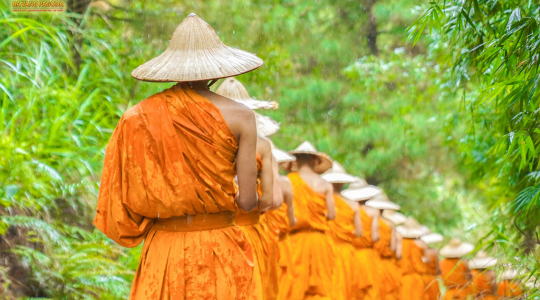 Alms Round In the Forest - Monks of Ba Vang Pagoda