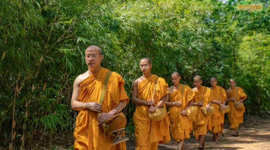 The Benefits of Practising the Dharma in the Forest