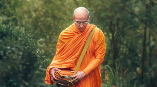 Beyond worldly desires: The merits of the Sangha