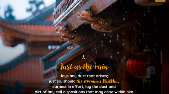 4 qualities of the rain that a Bhikkhu should learn