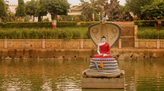 The Serpent King sheltered the Buddha from the elements