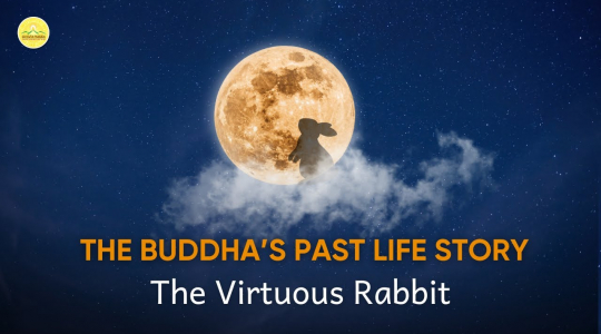 An inspiring story from the Buddha’s previous lives (Sasa Jataka): The rabbit of selfless virtue