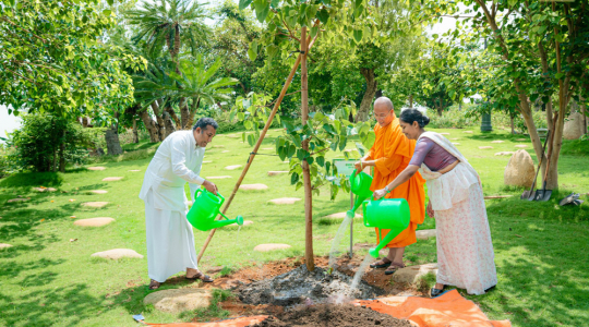 Sri Lankan Ambassador planted a commemorative tree at Ba Vang Pagoda